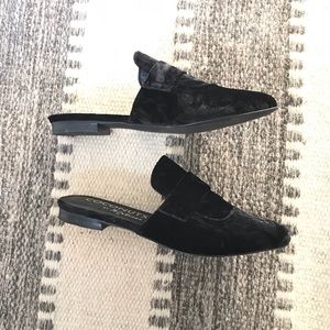 Coconuts by Matisse Black Mules